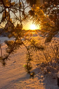 Photo Courtesy Ever After Photography By Angela Goff